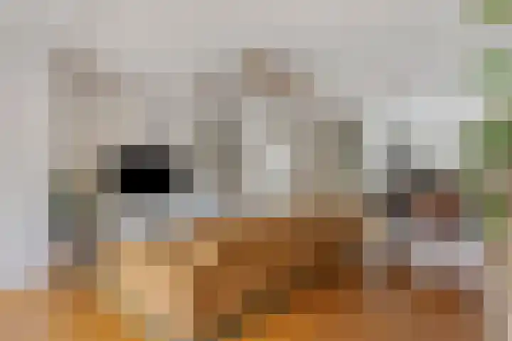 Drijversveld 22 Dongen thumbnail 13