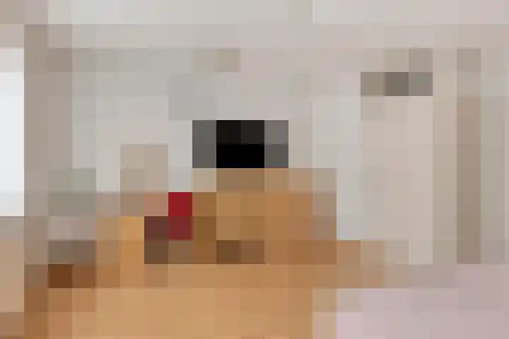 Drijversveld 22 Dongen thumbnail 17
