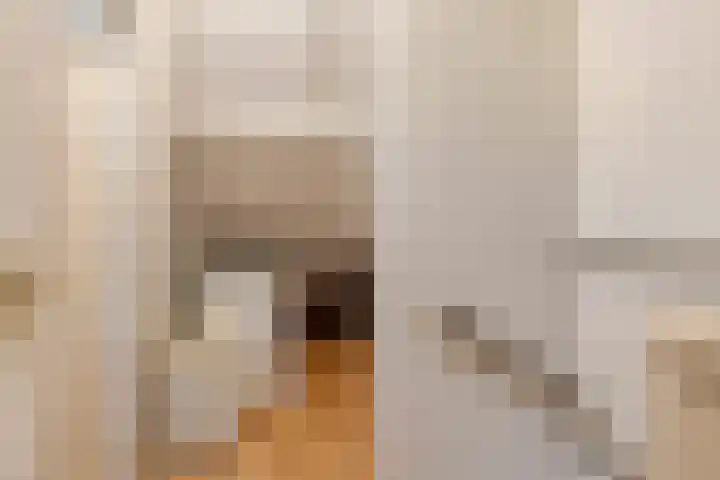 Drijversveld 22 Dongen thumbnail 21