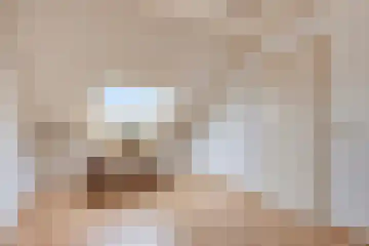 Drijversveld 22 Dongen thumbnail 22