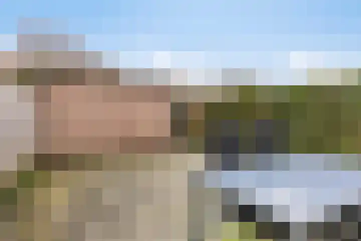 Drijversveld 22 Dongen thumbnail 24
