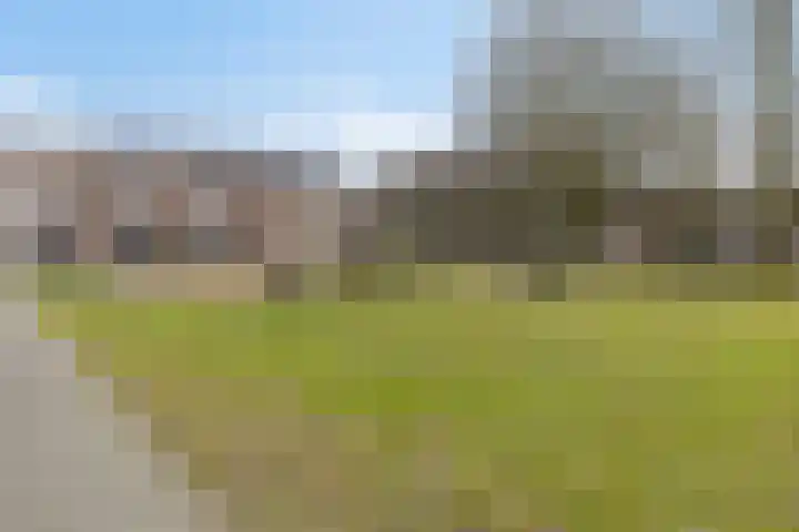 Drijversveld 22 Dongen thumbnail 26