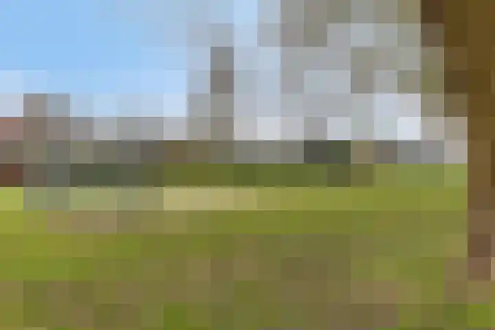Drijversveld 22 Dongen thumbnail 27