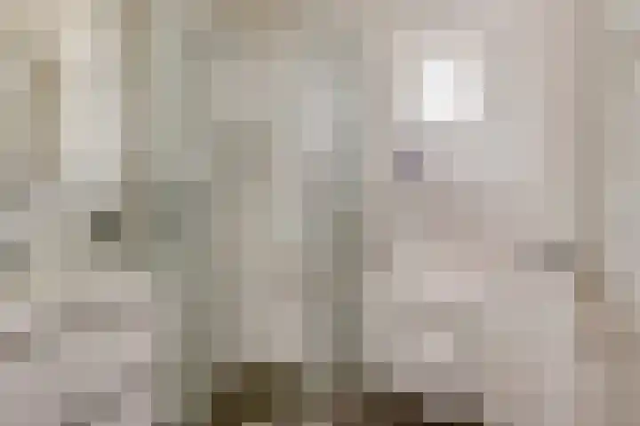 Drijversveld 22 Dongen thumbnail 5