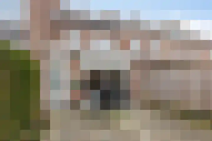 Drijversveld 22 Dongen thumbnail 6