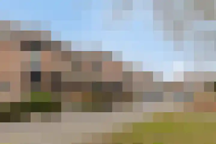 Drijversveld 22 Dongen thumbnail 7