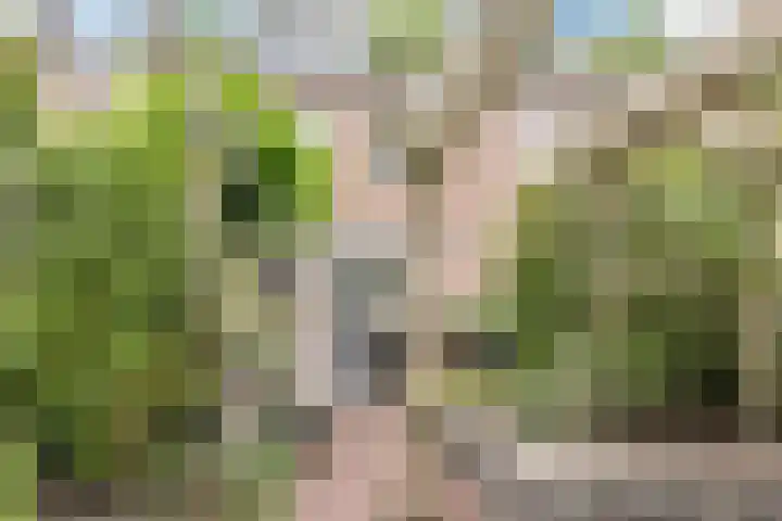 Drijversveld 26 Dongen thumbnail 14