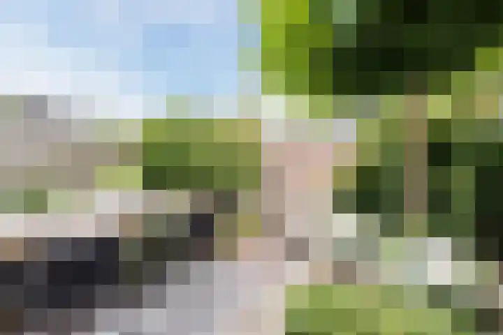 Drijversveld 26 Dongen thumbnail 16