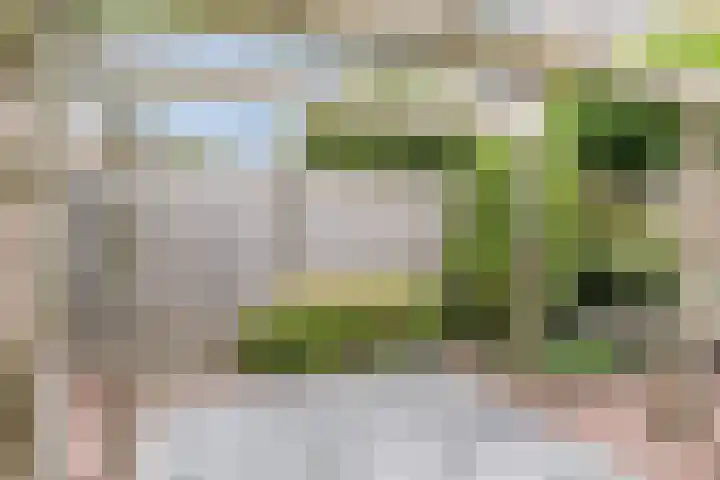 Drijversveld 26 Dongen thumbnail 17