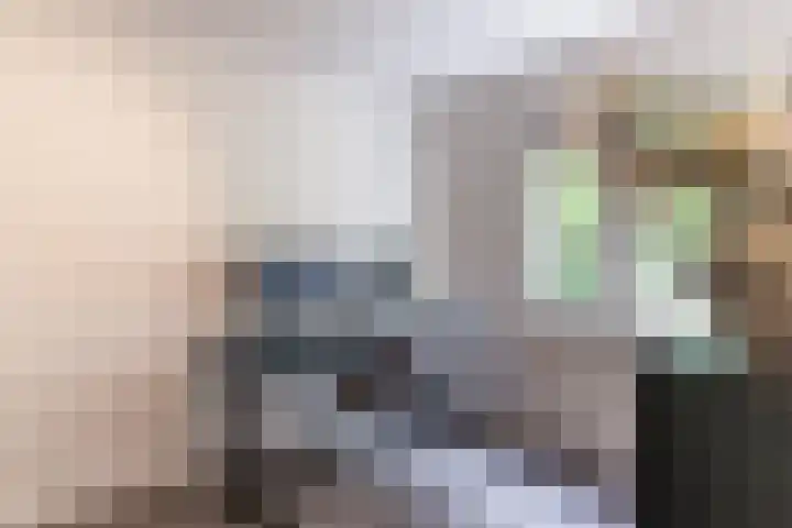 Drijversveld 26 Dongen thumbnail 25