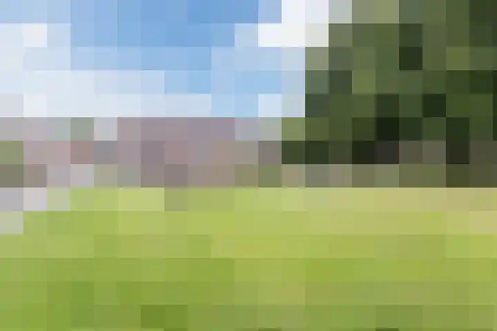 Drijversveld 26 Dongen thumbnail 33