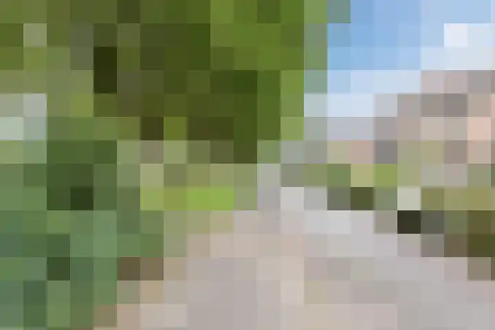 Drijversveld 26 Dongen thumbnail 34