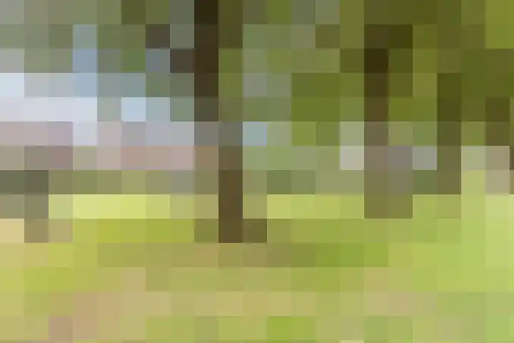Drijversveld 26 Dongen thumbnail 35