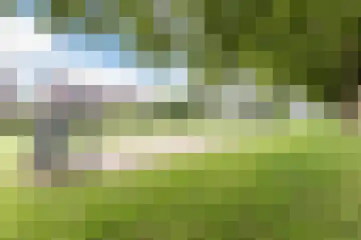 Drijversveld 26 Dongen thumbnail 36