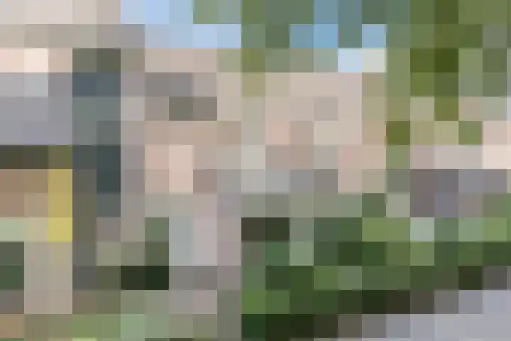 Drijversveld 26 Dongen thumbnail 37