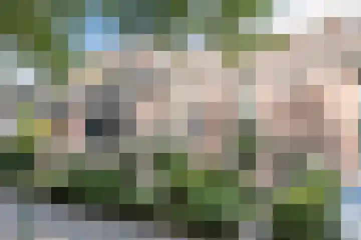 Drijversveld 26 Dongen thumbnail 38