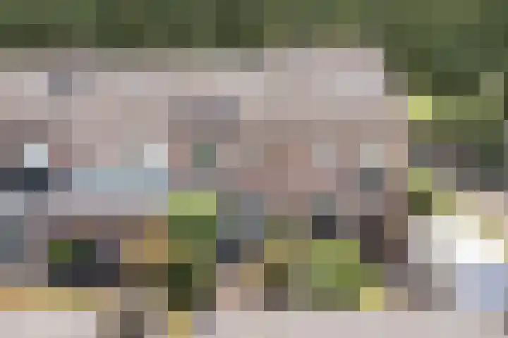 Drijversveld 26 Dongen thumbnail 39