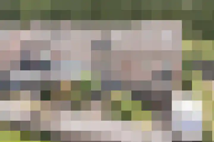 Drijversveld 26 Dongen thumbnail 40