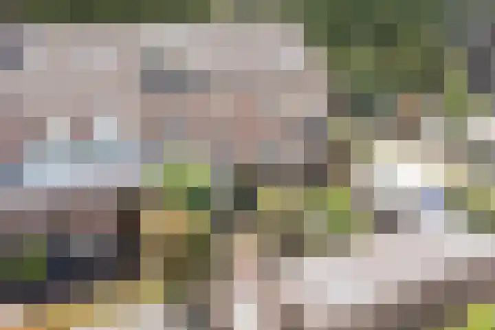 Drijversveld 26 Dongen thumbnail 41