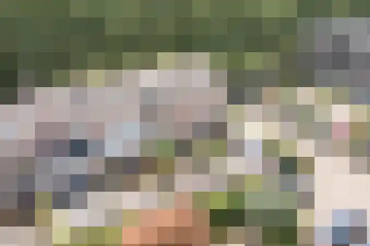 Drijversveld 26 Dongen thumbnail 42