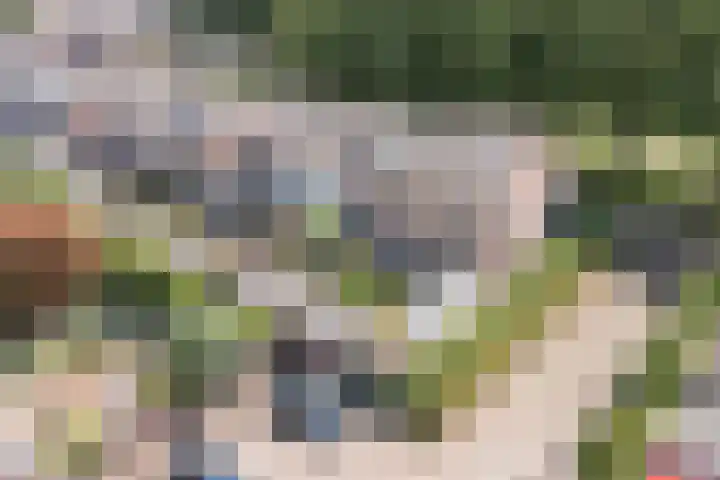 Drijversveld 26 Dongen thumbnail 43
