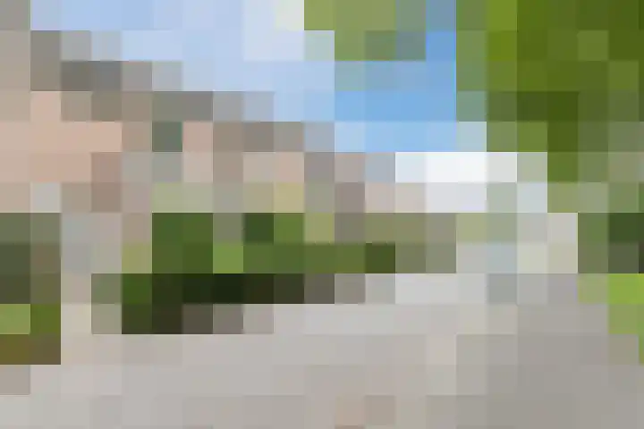 Drijversveld 26 Dongen thumbnail 44