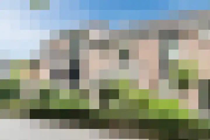 Drijversveld 26 Dongen thumbnail 45