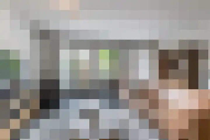 Drijversveld 26 Dongen thumbnail 6
