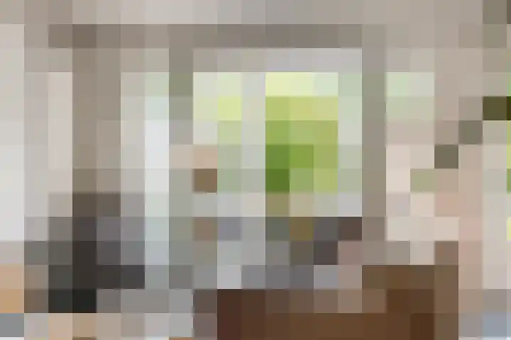 Drijversveld 26 Dongen thumbnail 8