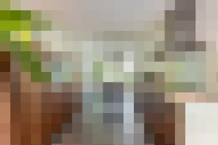 Drijversveld 26 Dongen thumbnail 9