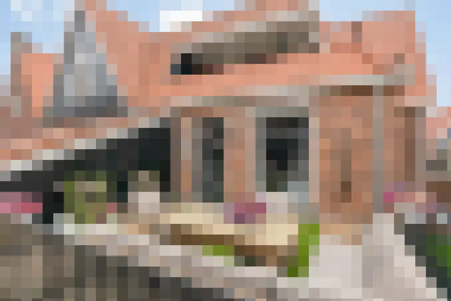 Dril 23 a Volendam thumbnail 26