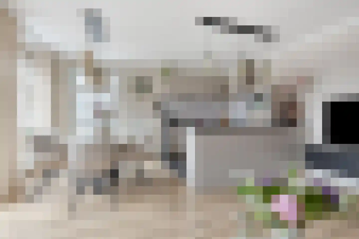 Dril 23 a Volendam foto 3