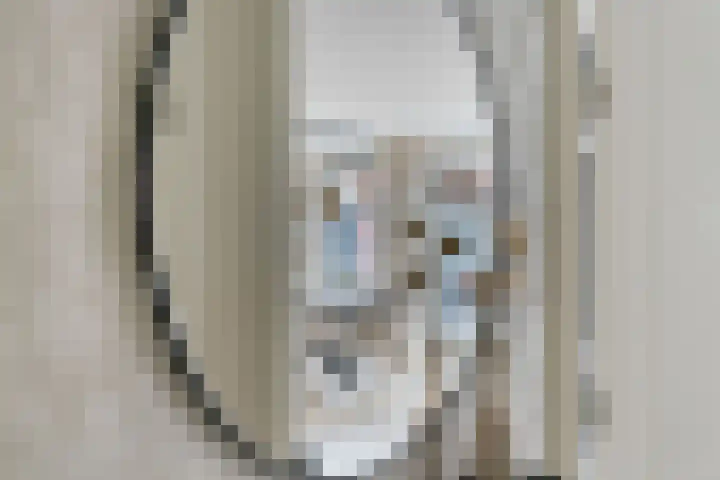 Dril 23 a Volendam thumbnail 6