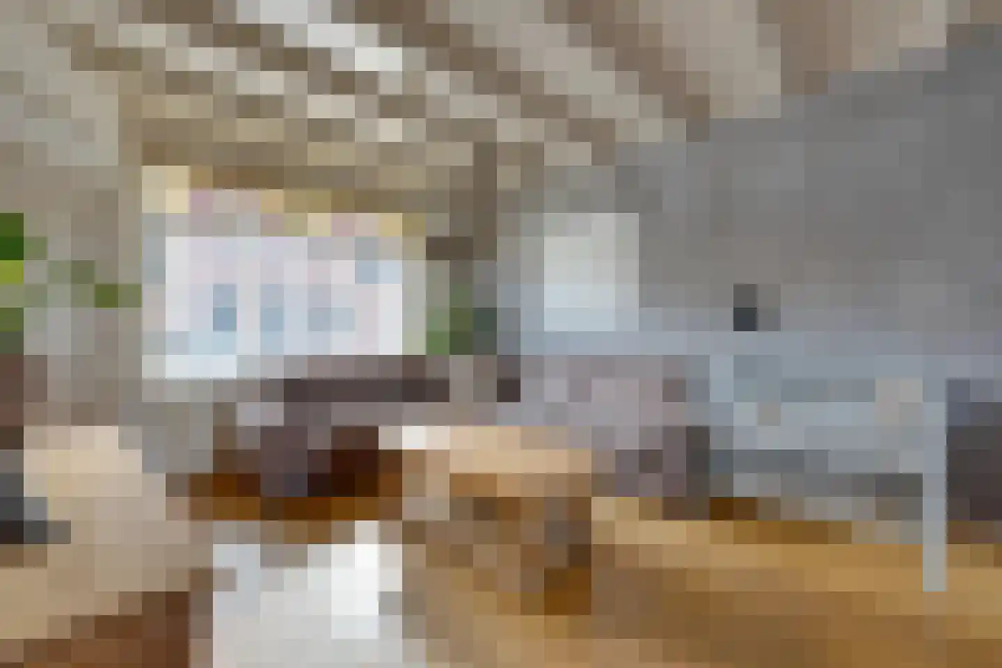 Dril 65 Volendam thumbnail 10