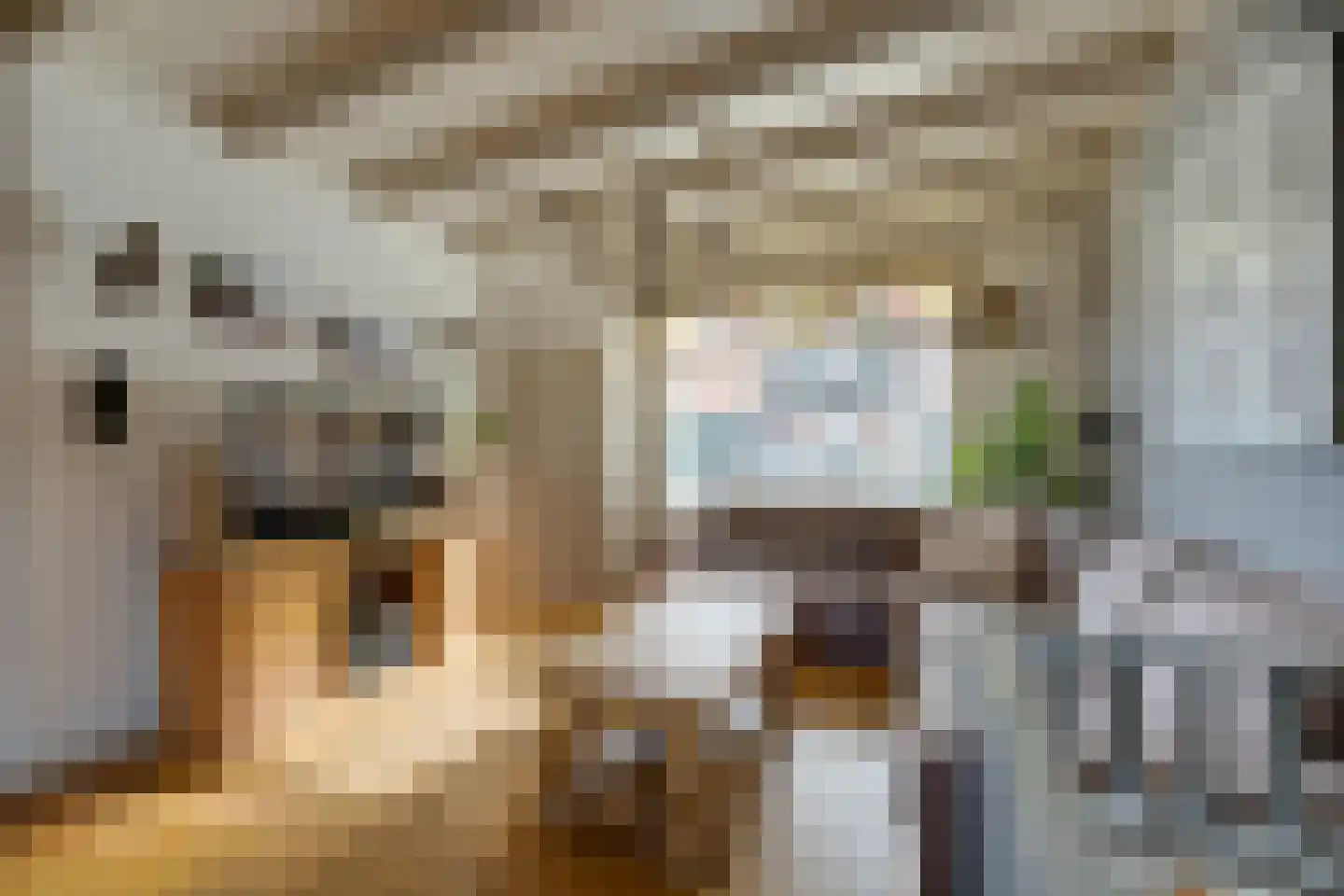Dril 65 Volendam thumbnail 11