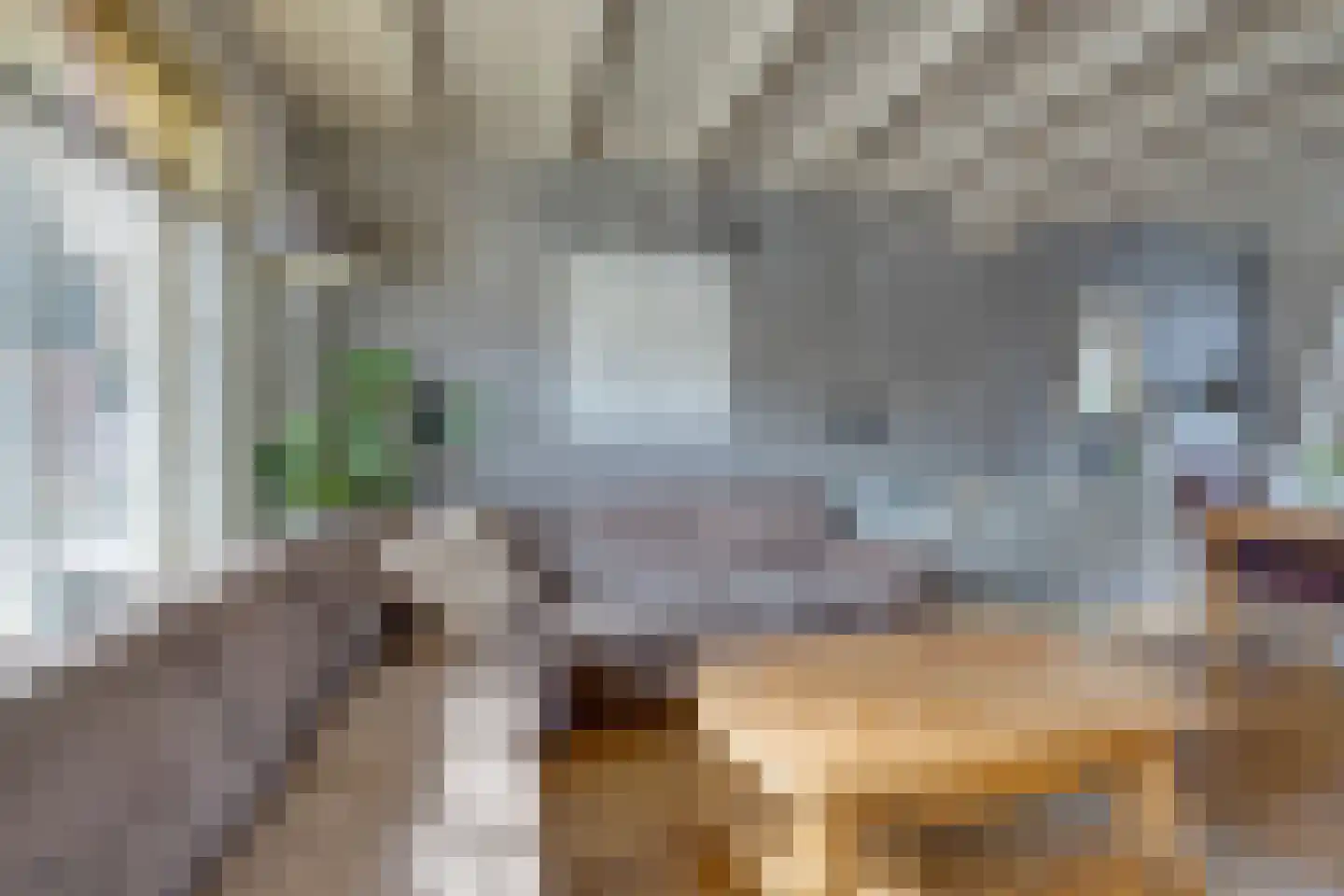 Dril 65 Volendam thumbnail 12