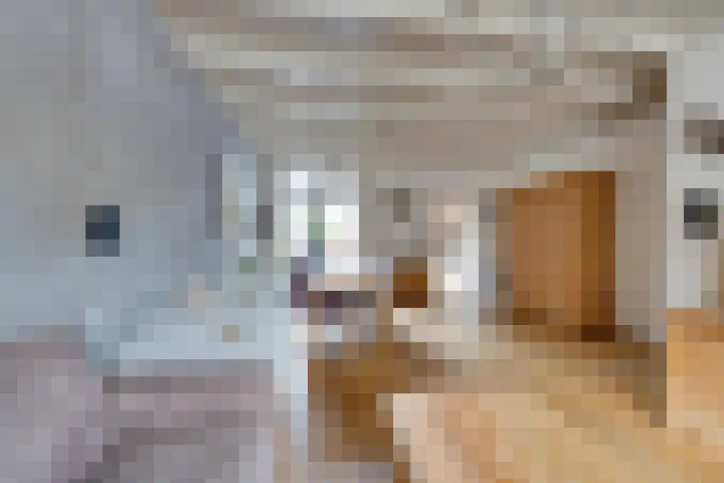 Dril 65 Volendam thumbnail 13