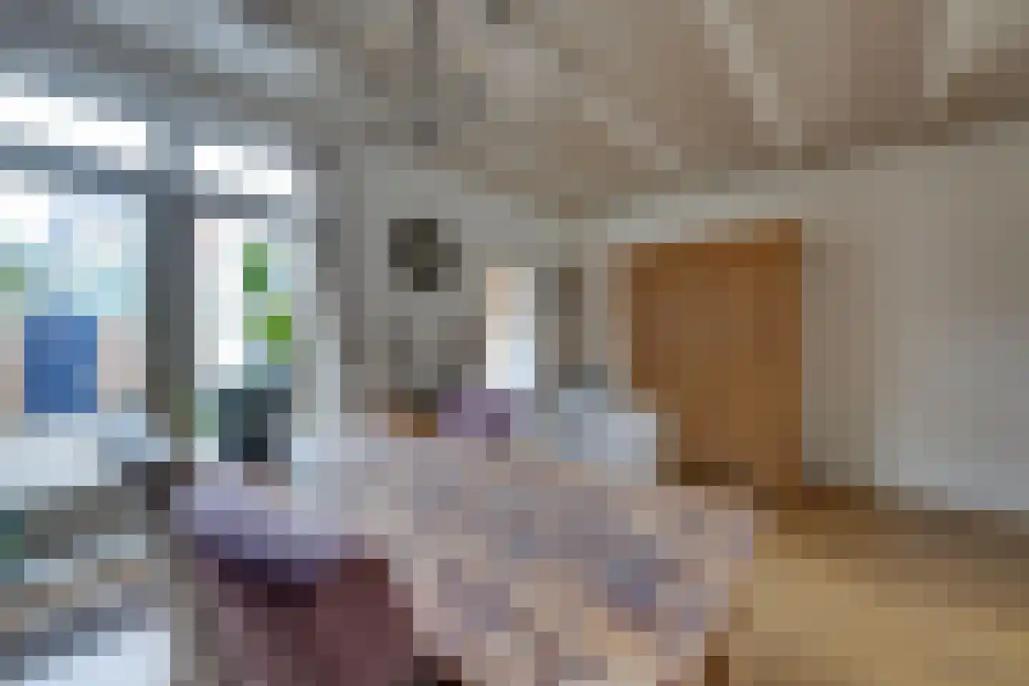 Dril 65 Volendam thumbnail 14