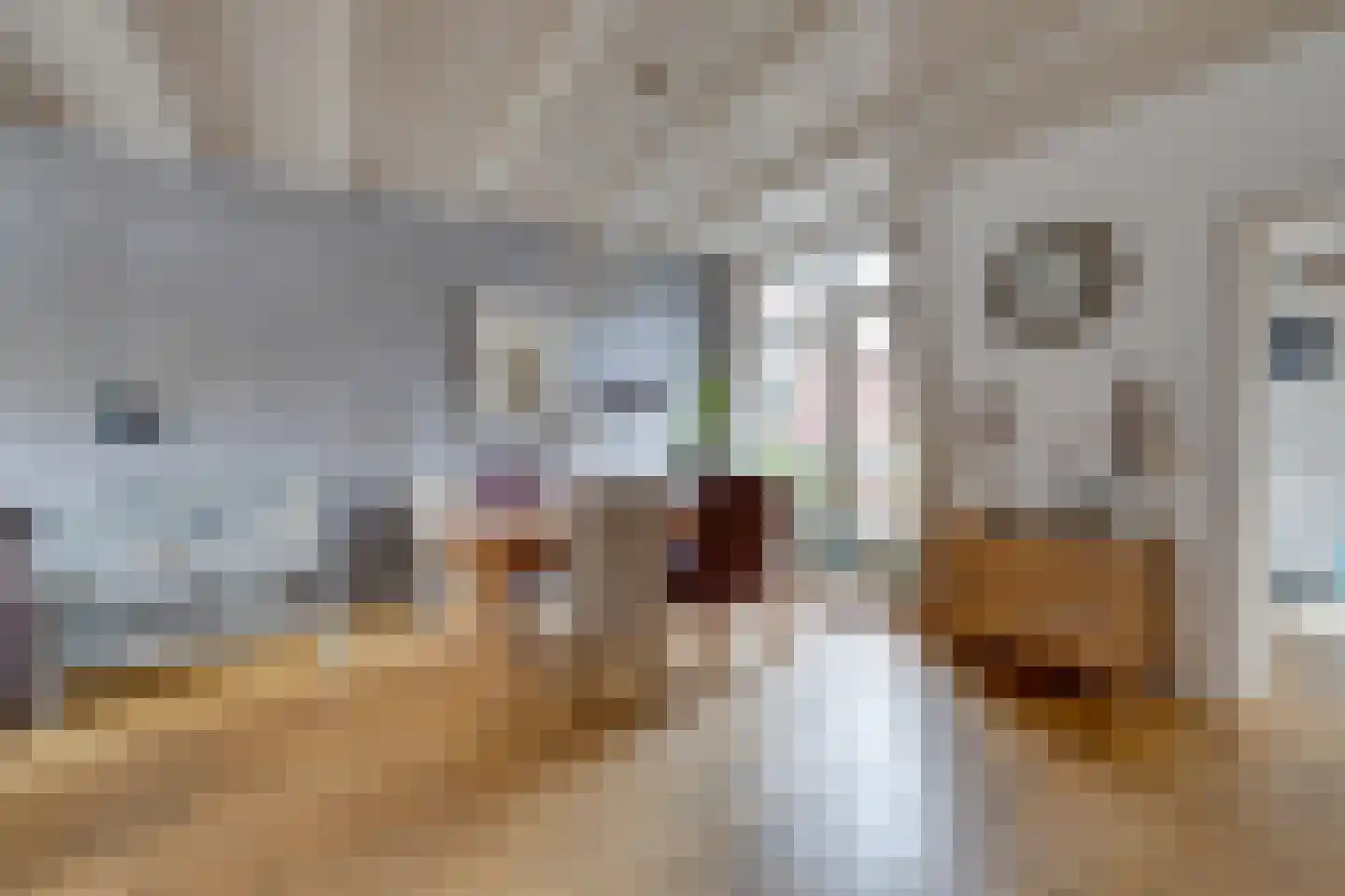 Dril 65 Volendam thumbnail 15