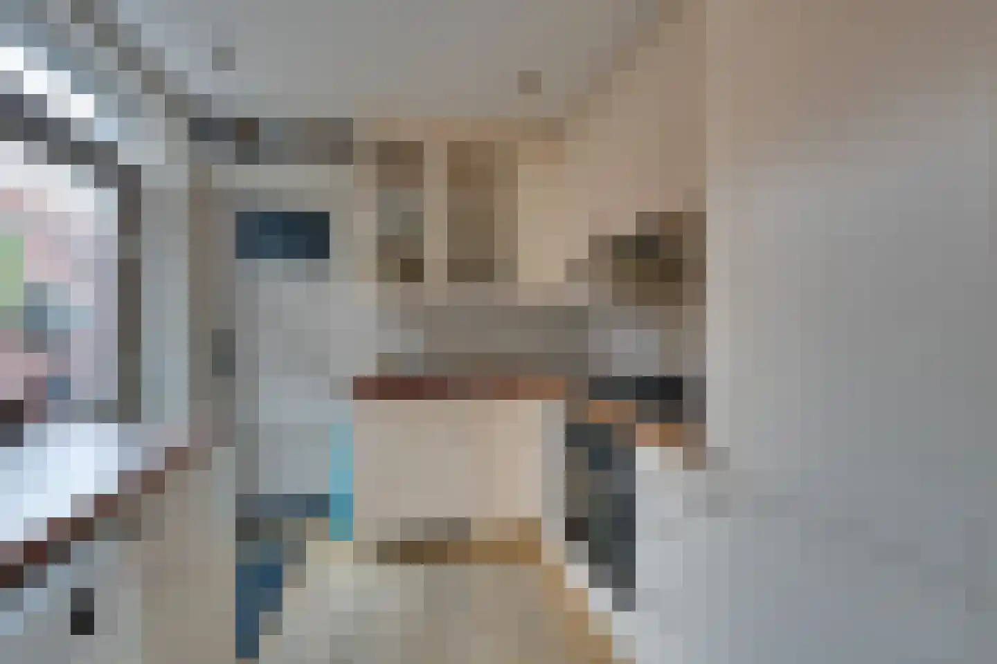 Dril 65 Volendam thumbnail 18