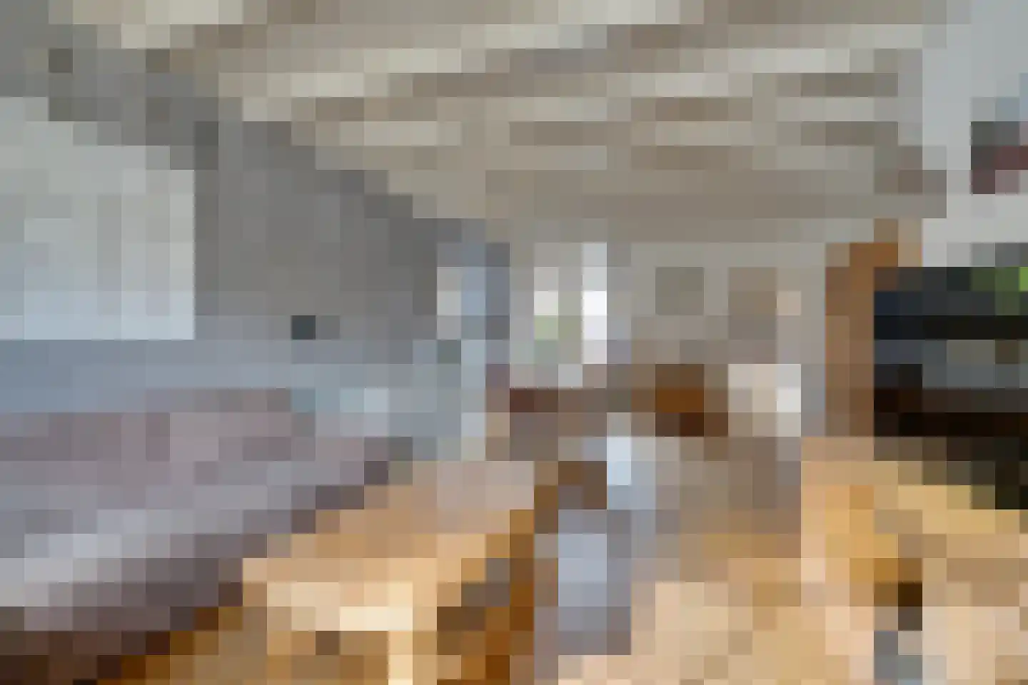 Dril 65 Volendam foto 2
