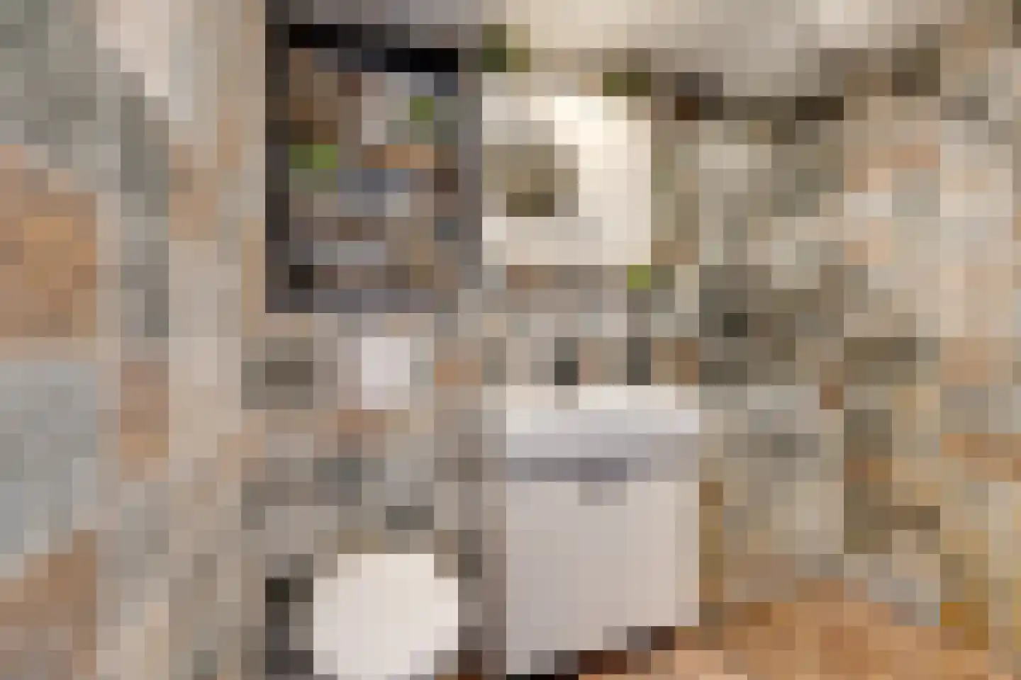Dril 65 Volendam thumbnail 22