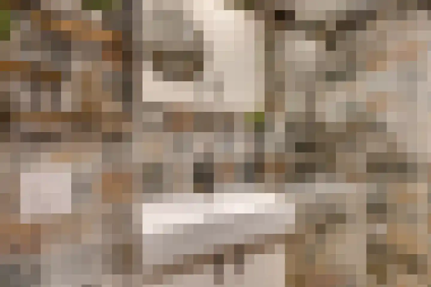 Dril 65 Volendam thumbnail 23