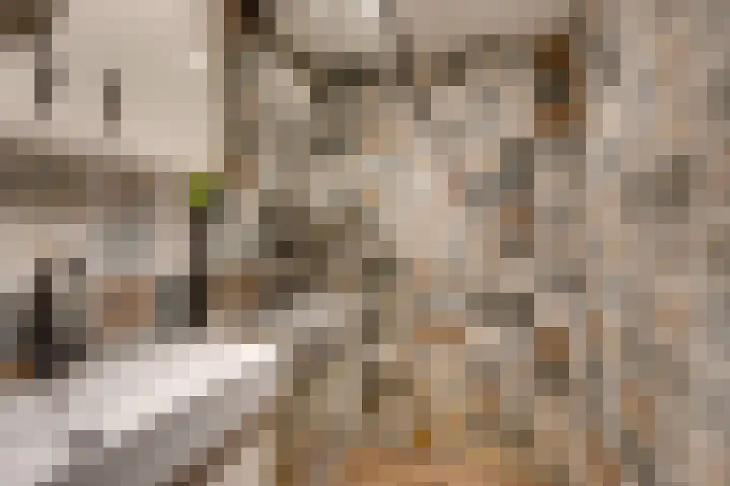 Dril 65 Volendam thumbnail 24