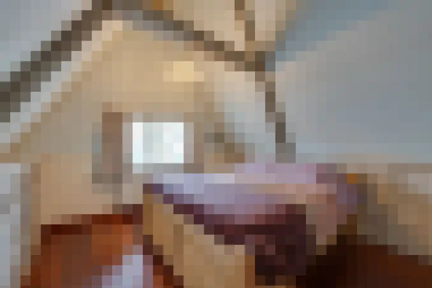 Dril 65 Volendam thumbnail 29