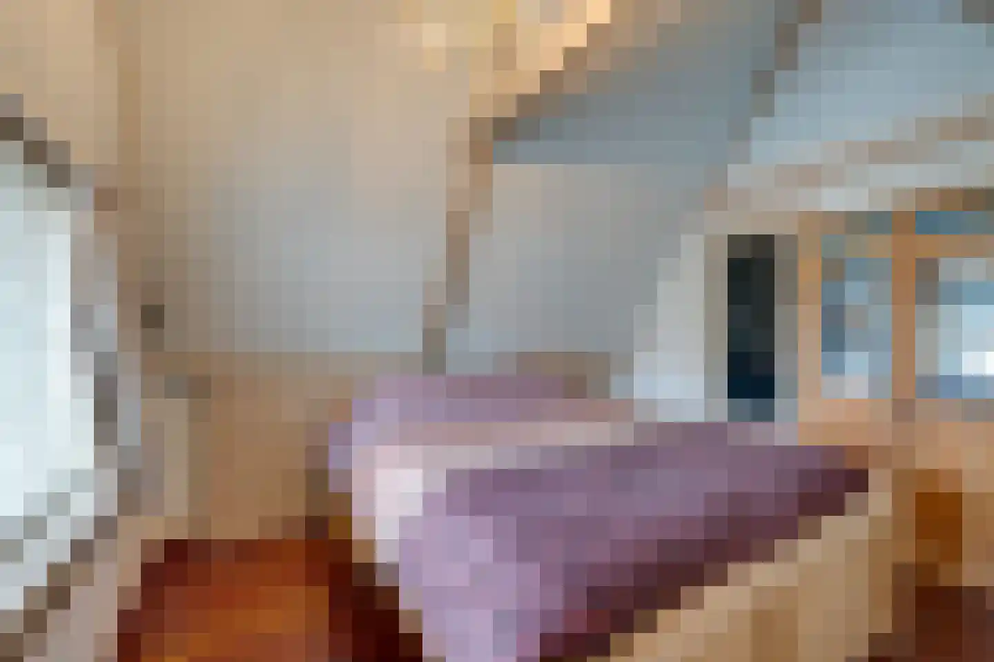 Dril 65 Volendam thumbnail 31