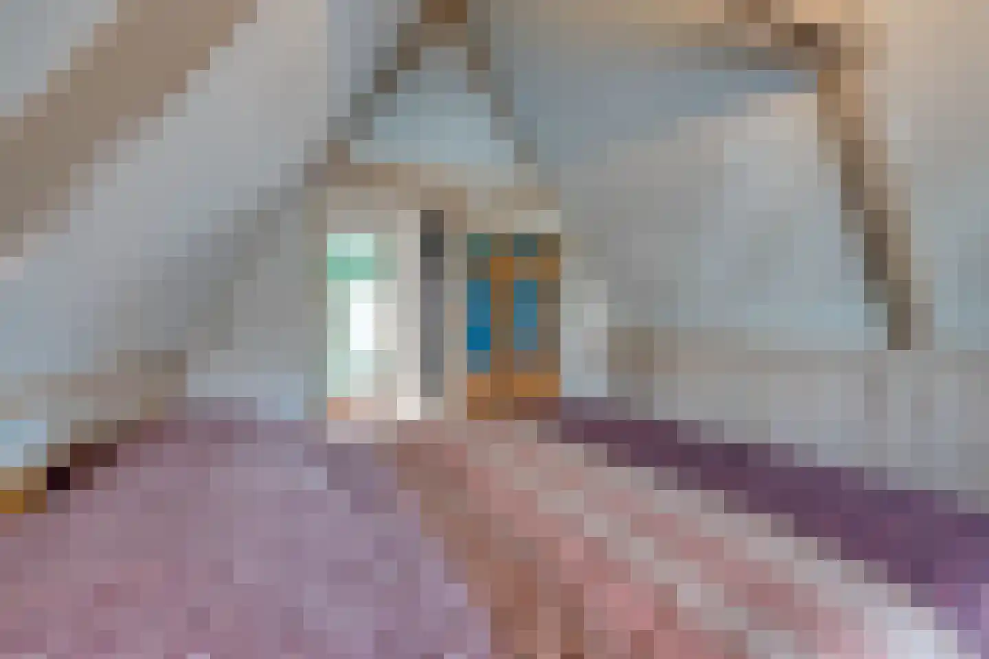 Dril 65 Volendam thumbnail 32