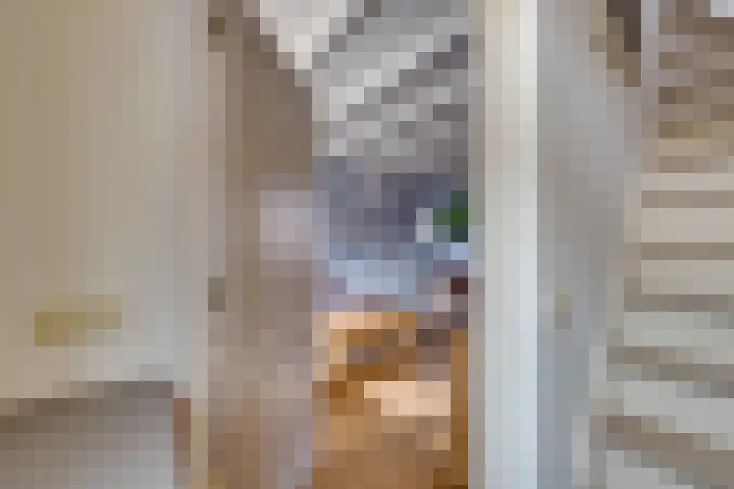 Dril 65 Volendam thumbnail 8