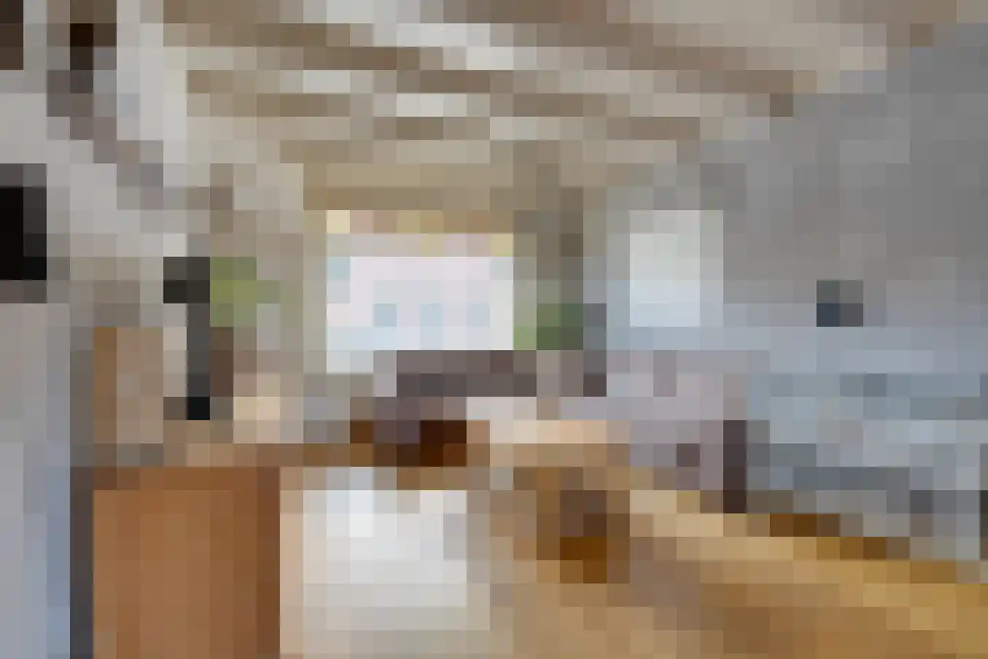 Dril 65 Volendam thumbnail 9
