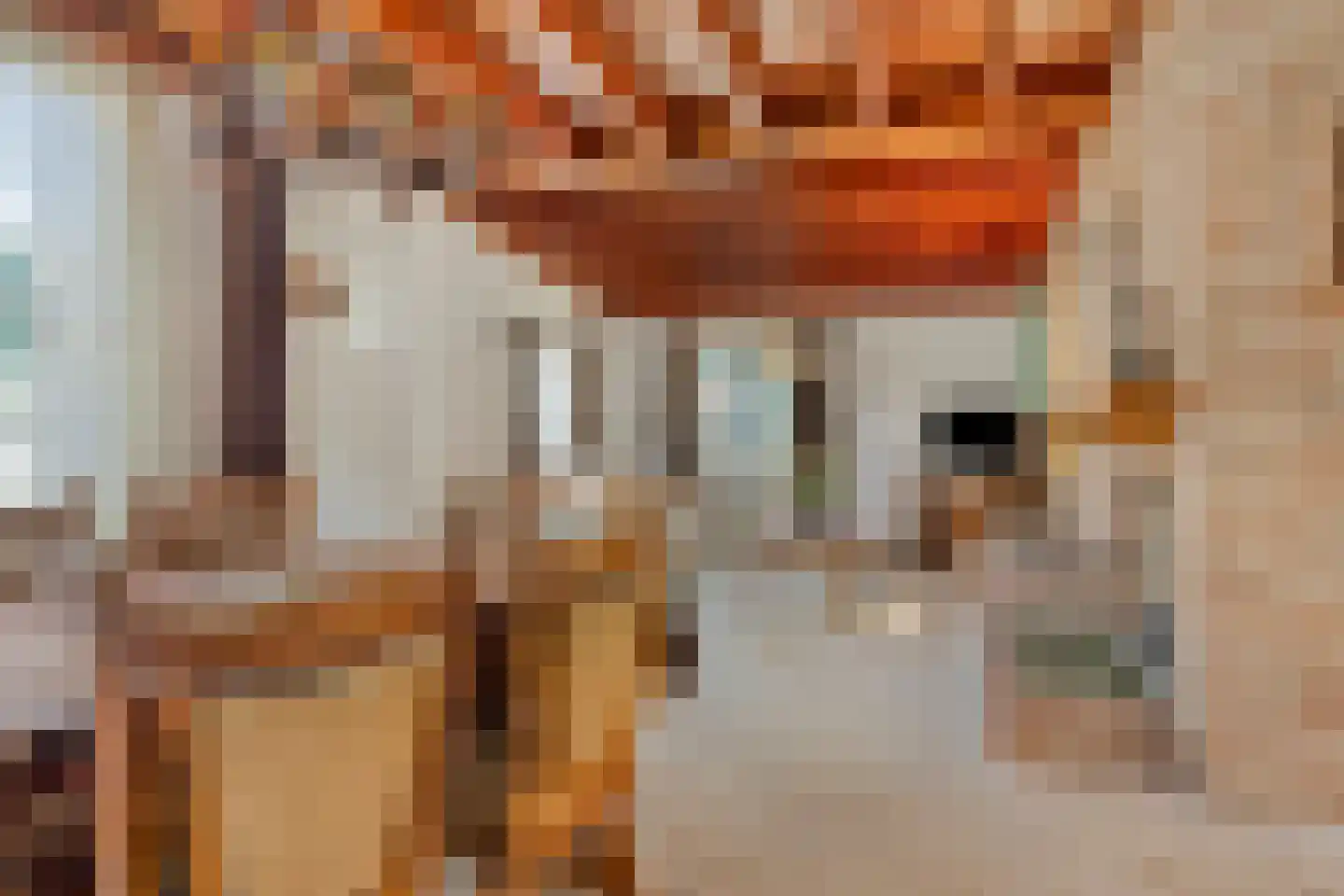Dril 77 Volendam thumbnail 11